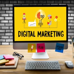 5 Roles in Digital Marketing